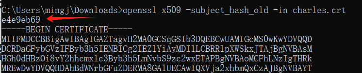 image-20250210104126651